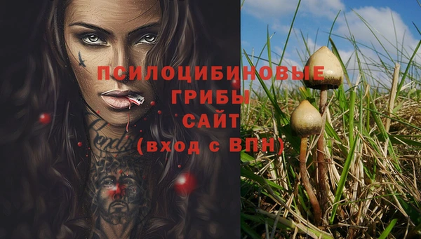 спайс Заволжье