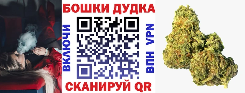 Конопля планчик  Северо-Курильск 